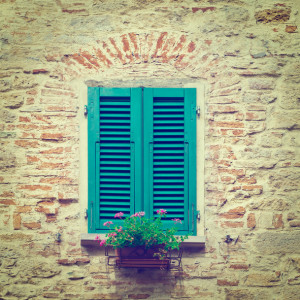10 Types of Shutters: Which Ones Are Right for Your Home? 