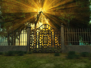 Looking for a Unique Custom Gate? We Welcome the Challenge! Looking for a Unique Custom Gate? We Welcome the Challenge!