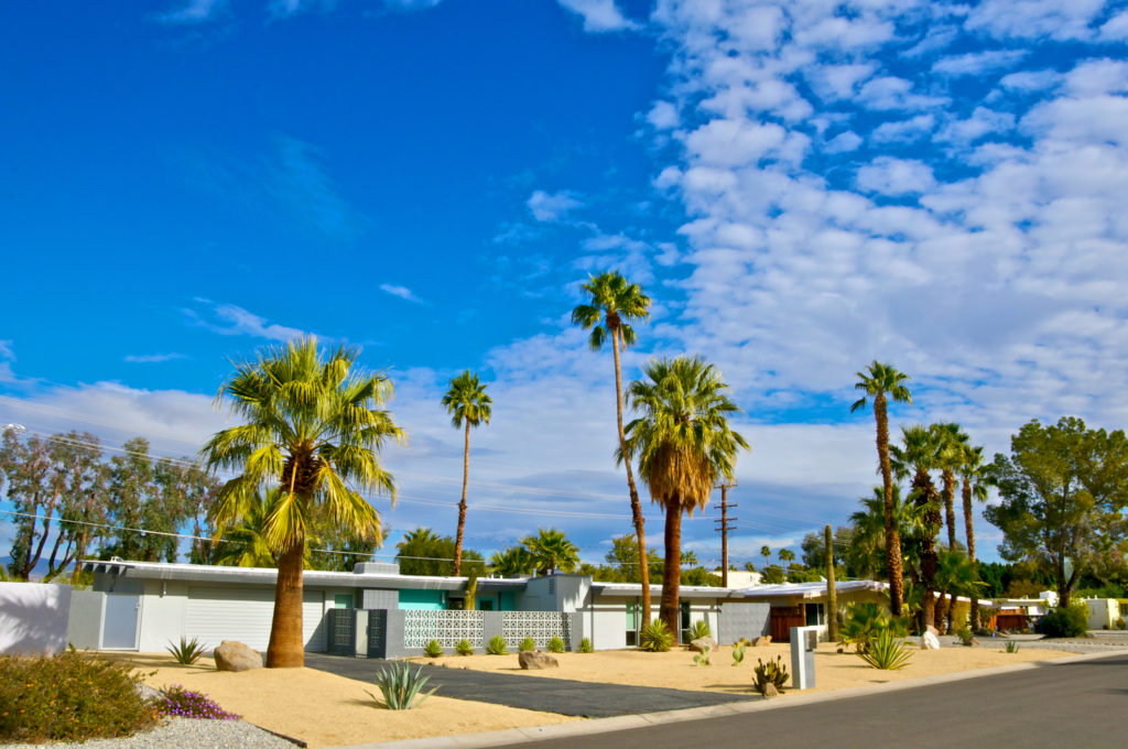 Which Type of Mid-Century Modern Garage Door Are You Looking For?